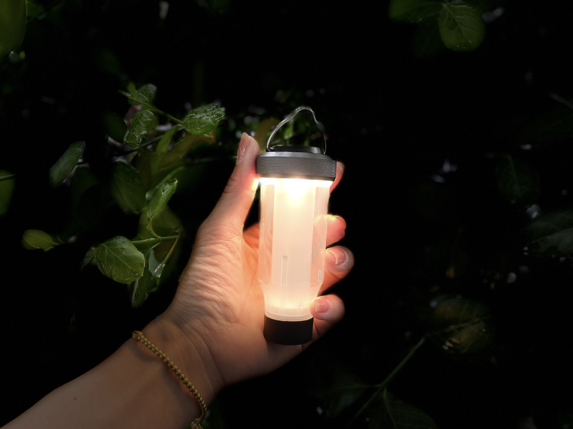 O1CN01Ty9cUM1vw8hcyEfjy_!!2212