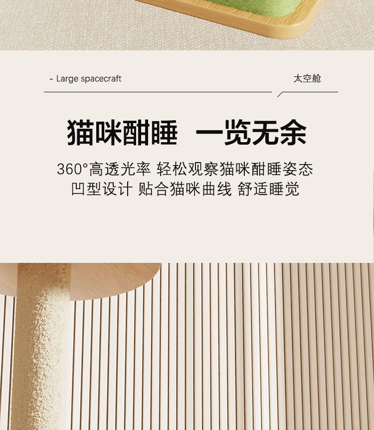 22e8e6b8-ee20-4e85-85a8-361da95d413c.jpe