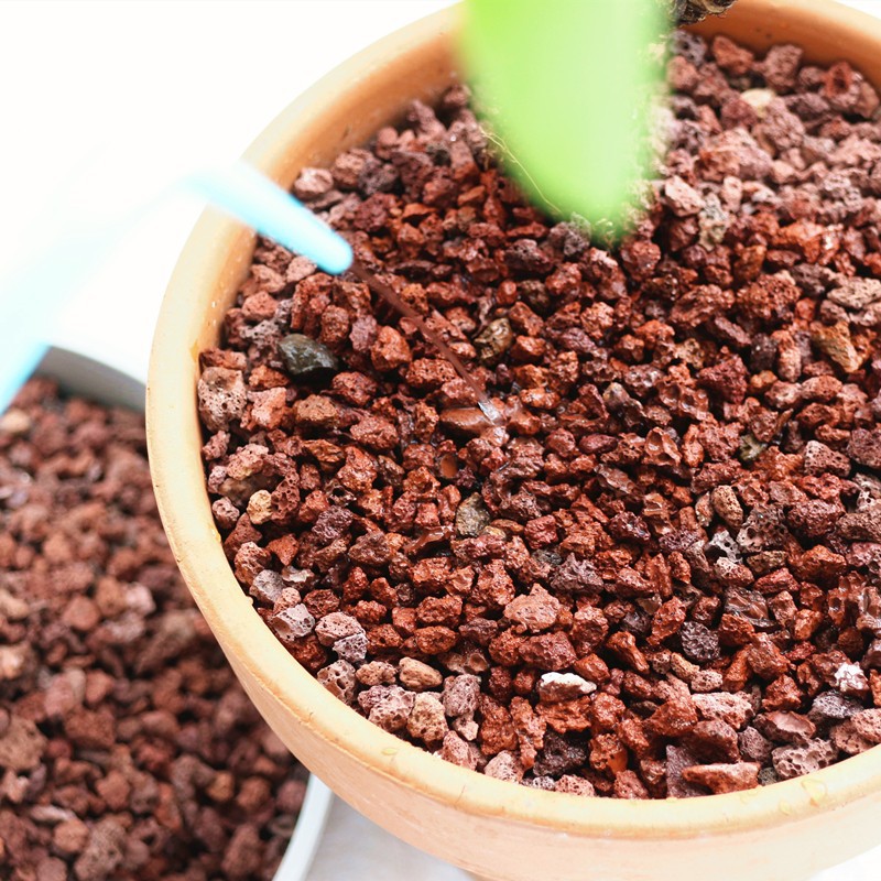 O1CN01NT4BtN25t3yUFKJJ3_!!2030