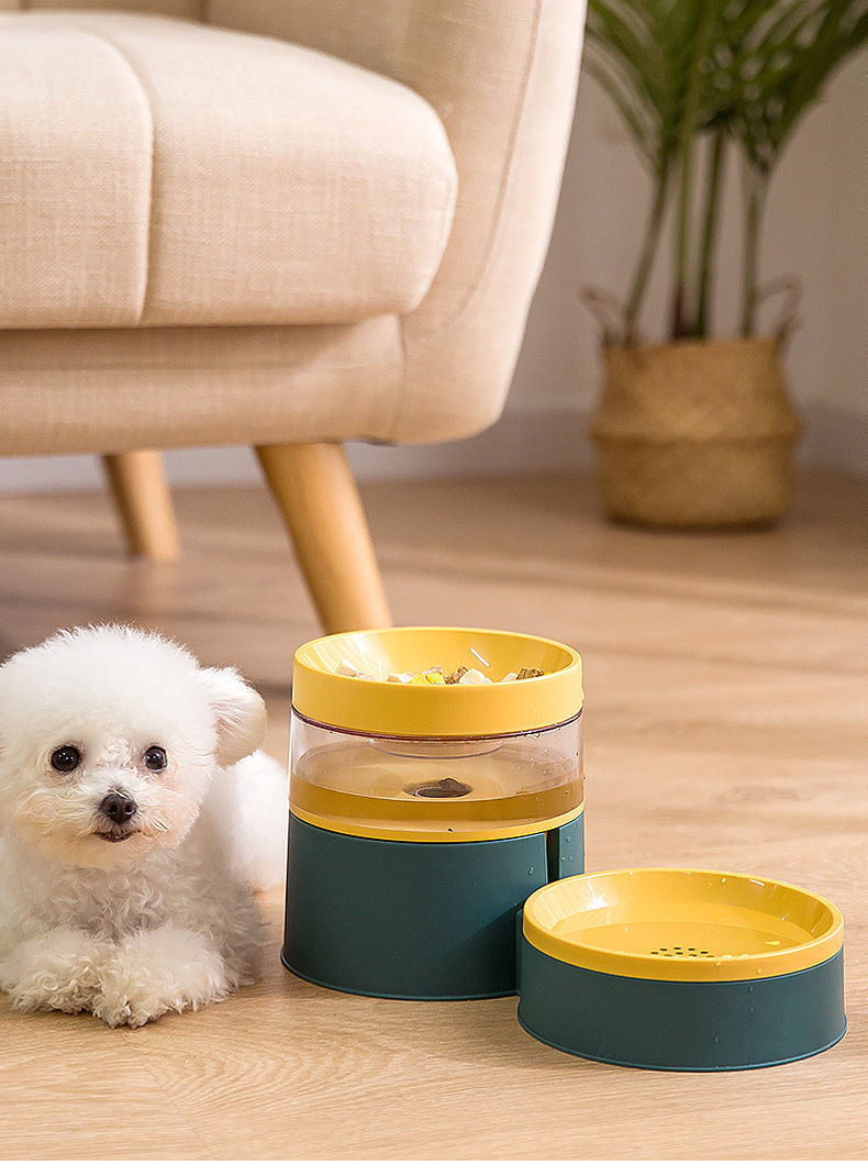 9ed3ba19-c549-4e09-93de-a779767ebdf5.jpe