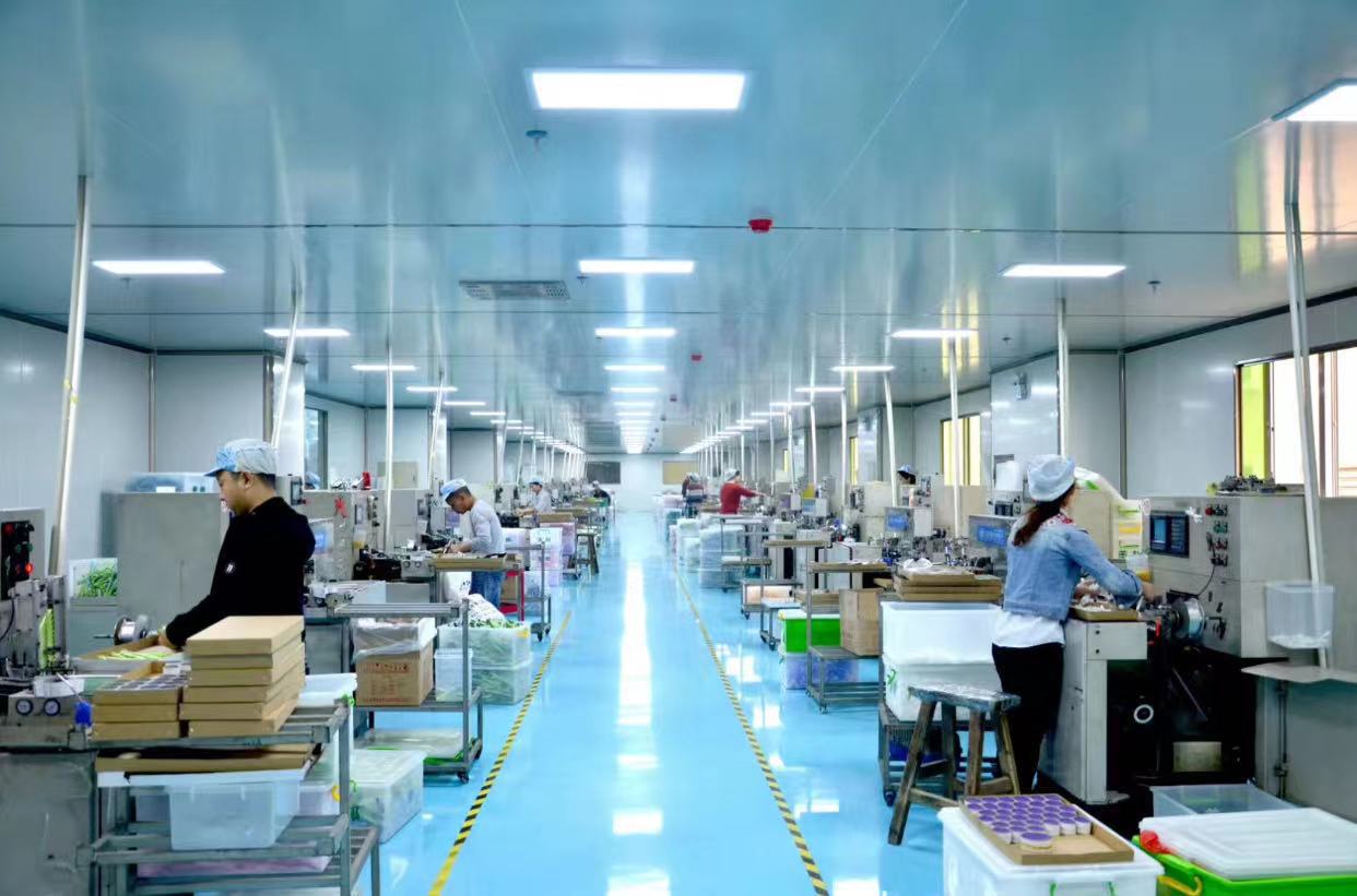 广东汕头厂房图片1 (2)