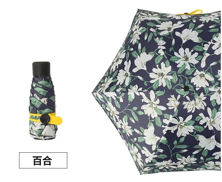 09c209d82b896e376e3062b6ec7c6c