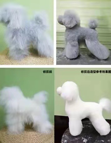 微信图片_20211020162205