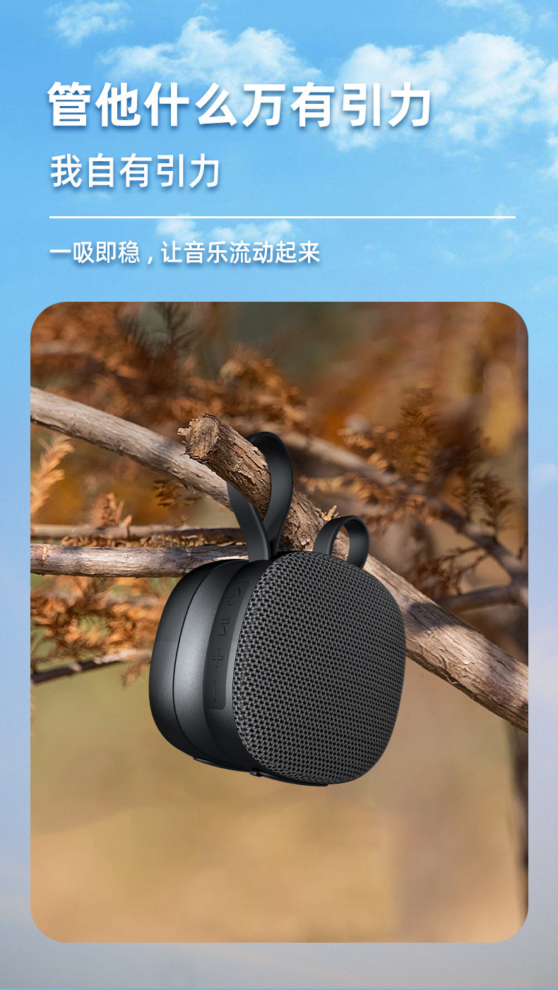 303详情最新中文2023_08.jpg
