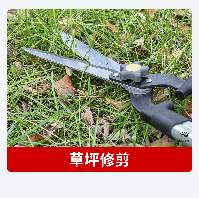 详情_04