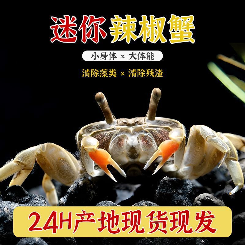 23e91609-c66d-4236-8d8e-a5a014345440.jpe