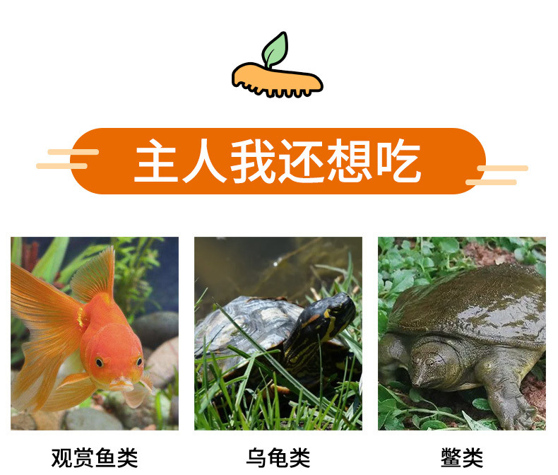 581b4d62-fc50-4f72-b610-6cb8b85dce8a.jpe