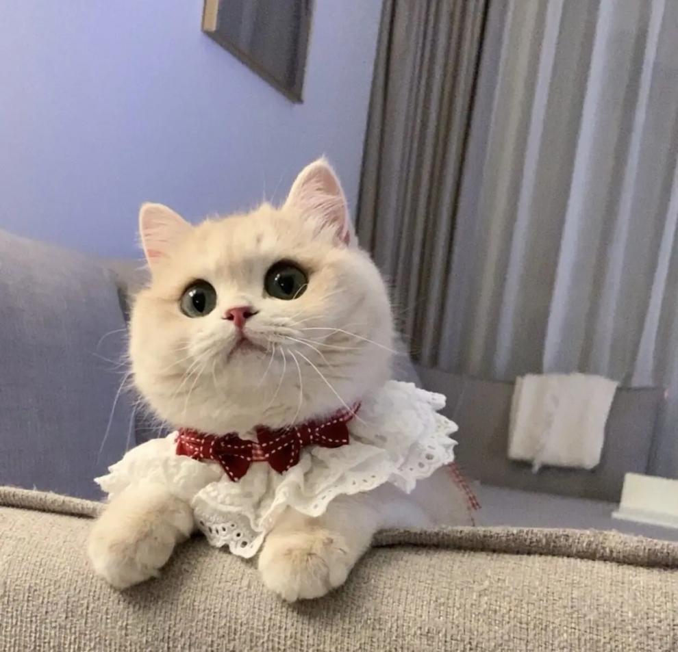 5130c51c-26e5-452c-9897-b8c92bdeb8c1.jpe