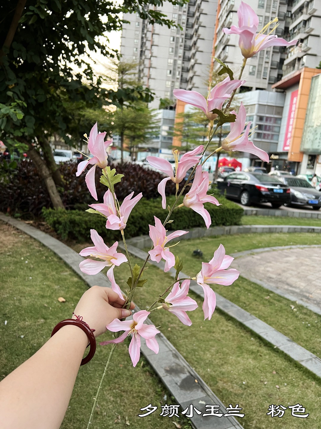 微信图片_20221022094640