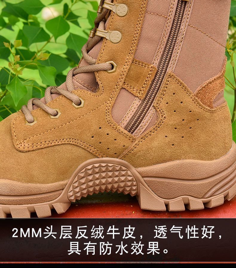 8da4c79b-8b1f-405e-93ec-661c517a064f.jpe