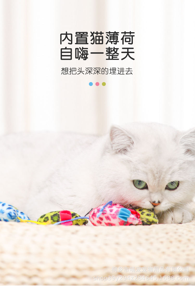 详情_04.jpg