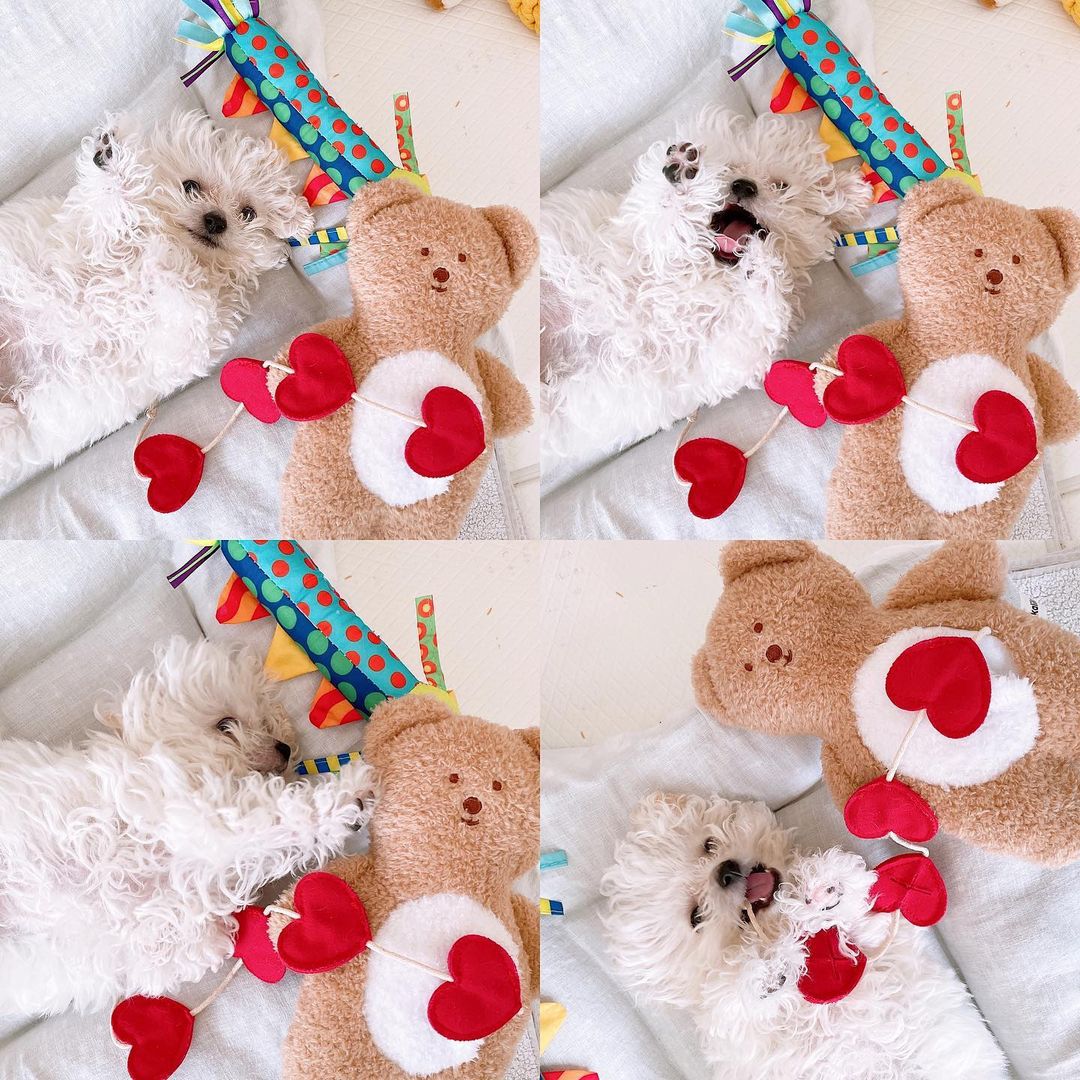 undefined