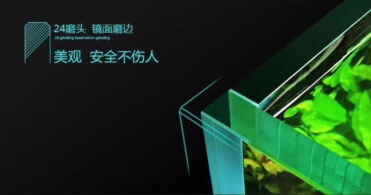 e645e5d8-6329-4f93-9105-2207f12d0f06.jpe