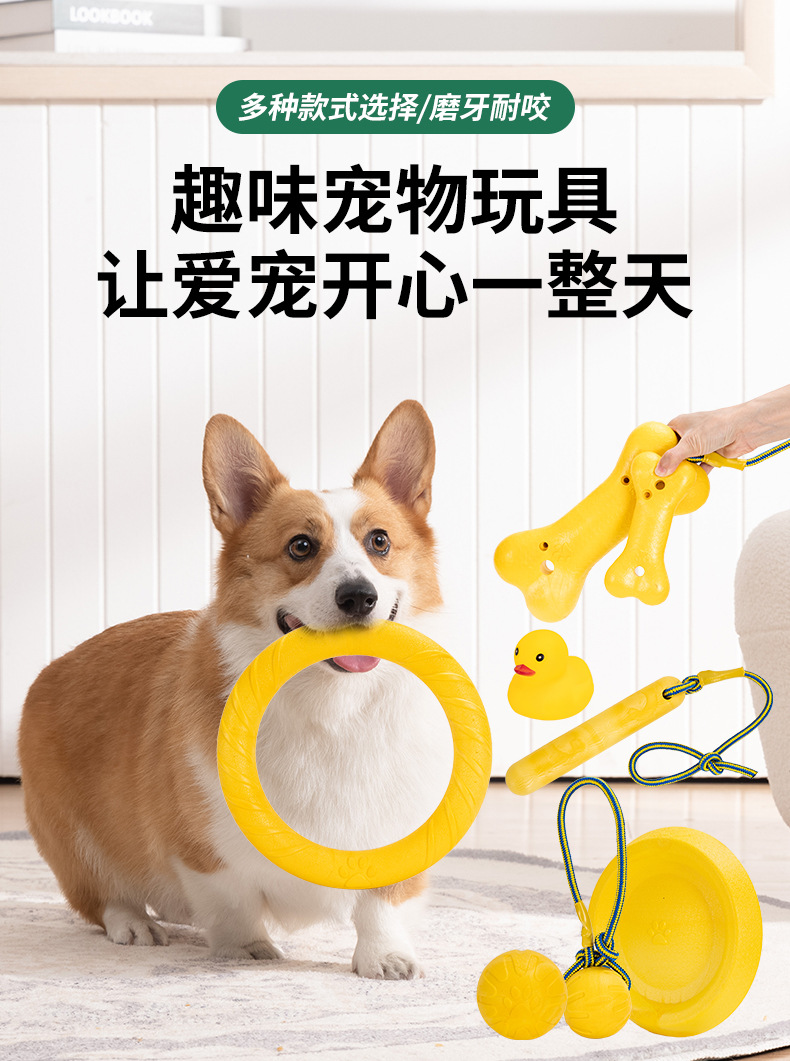 宠物玩具_01.jpg