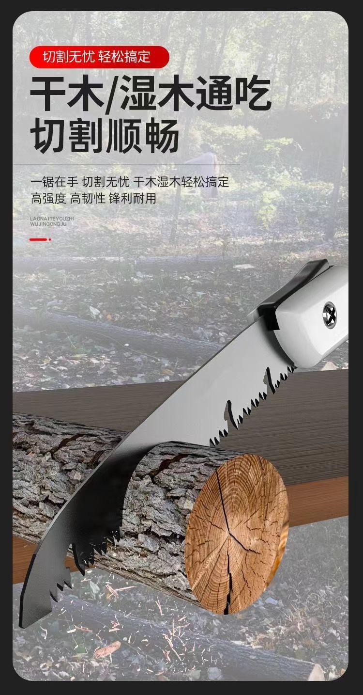 13388130914150861