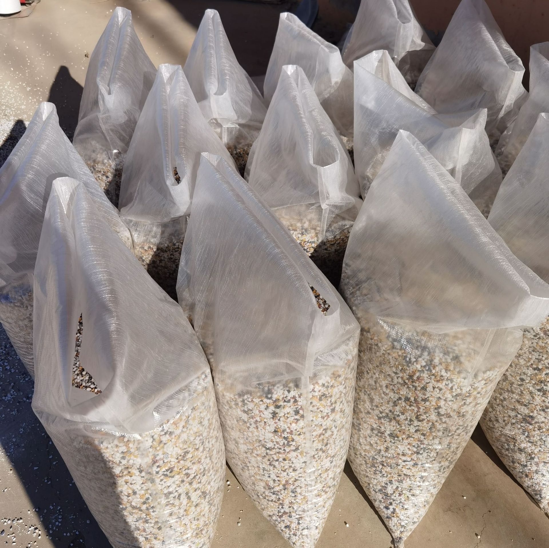 IMG_20211206_103543_edit_21701