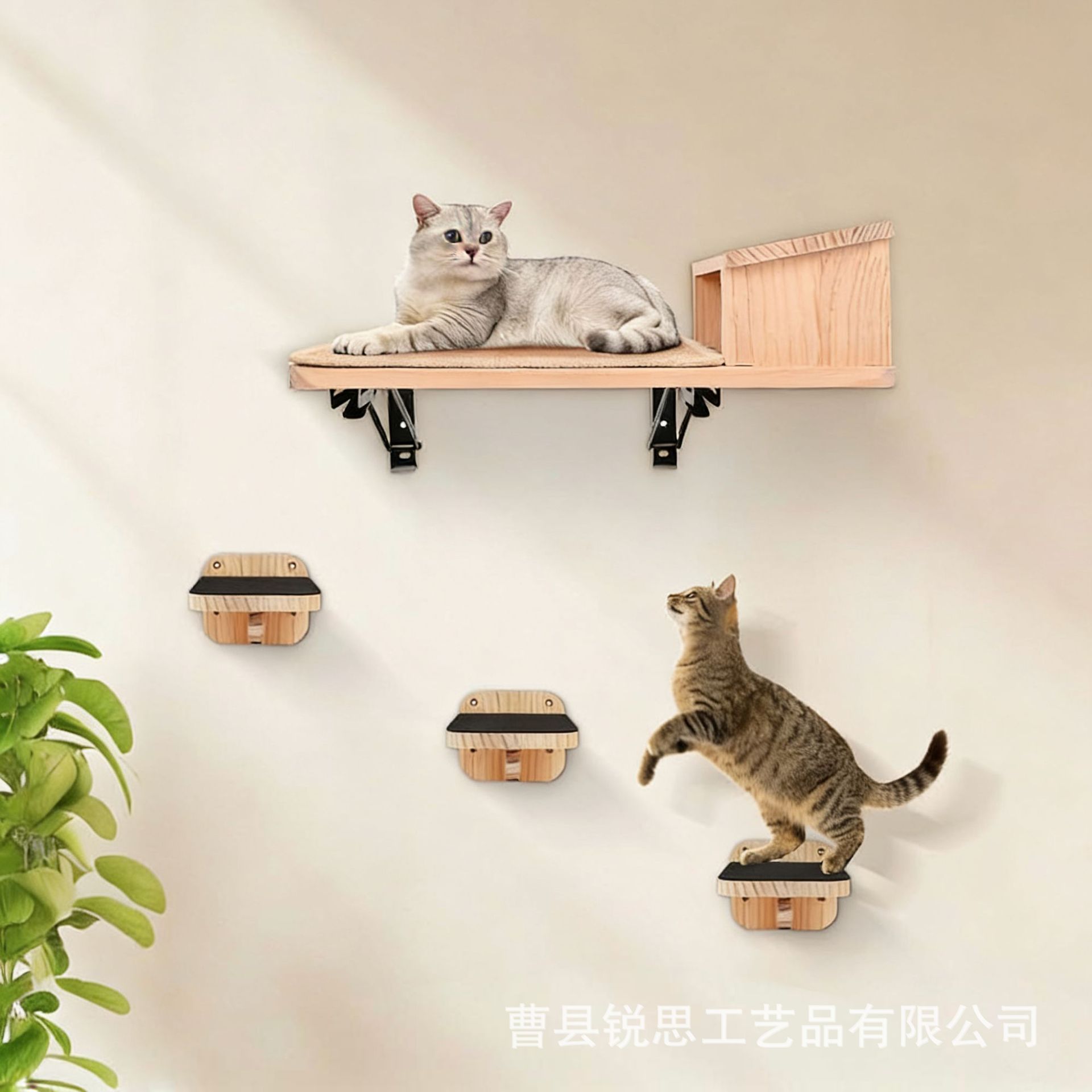 微信图片_20251205204327_8746_146.p