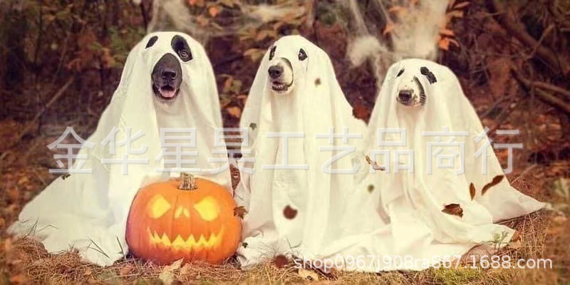 微信图片_20220408133209
