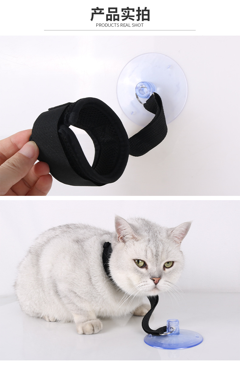 宠物吸盘项圈8.jpg