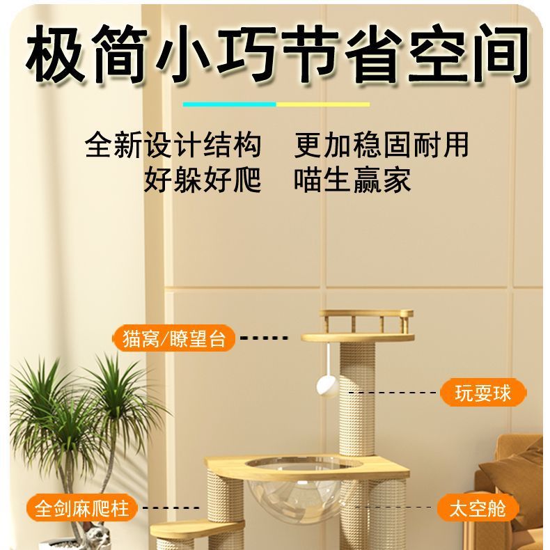 505551dc-e9d2-40cb-8968-d175d129e9c5.jpe