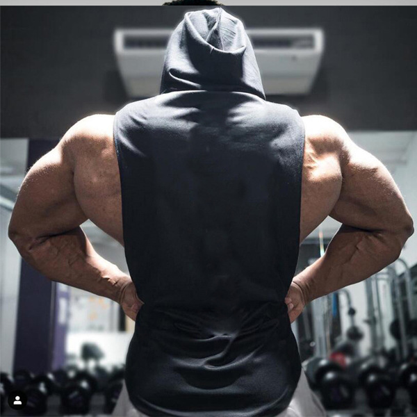 Hc1878b6641e64b658da9c0ded0912