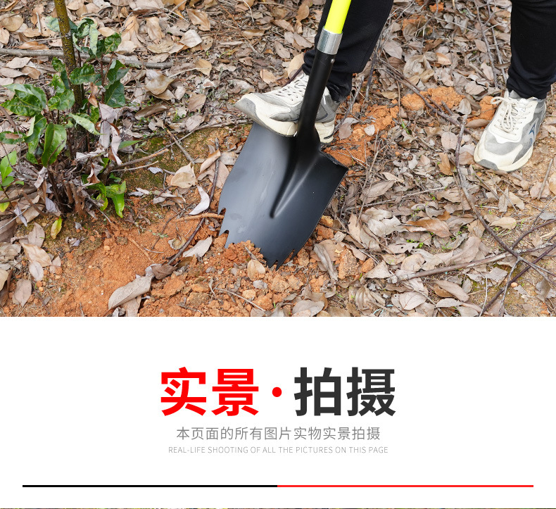 详情_09