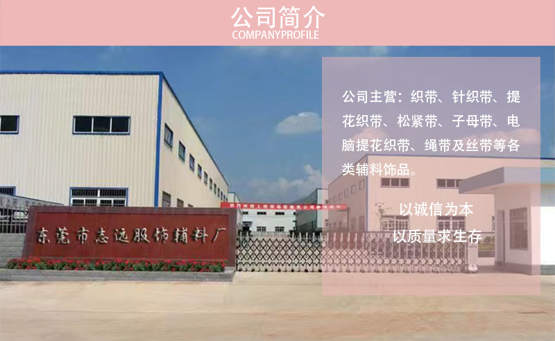 模板  11