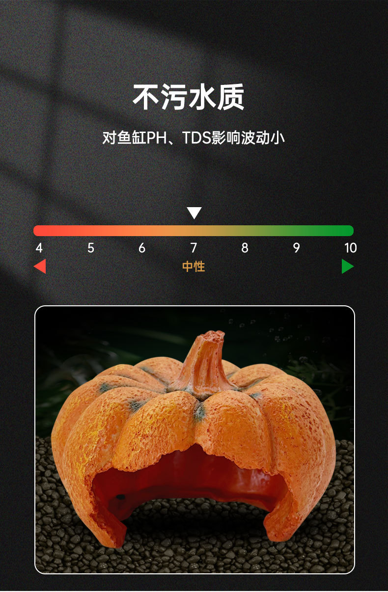 南瓜详情_05.jpg
