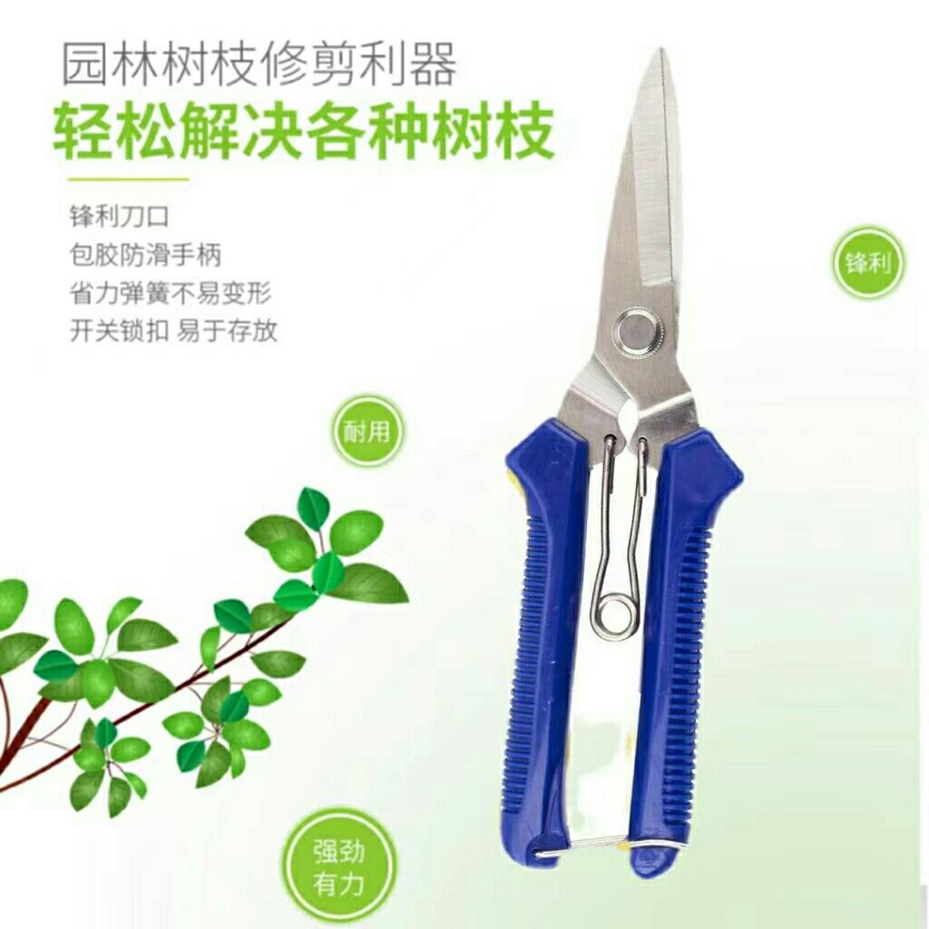 微信图片_20240521202843