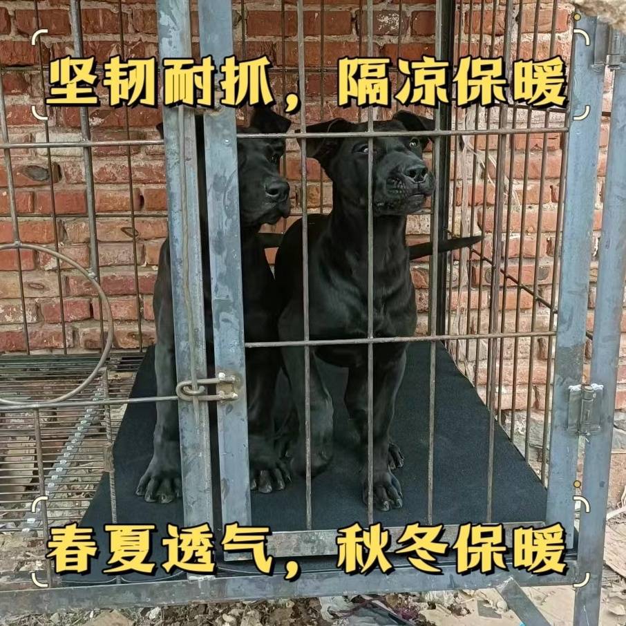 3e745881-9b96-4491-af9f-eab4bea27181.jpe