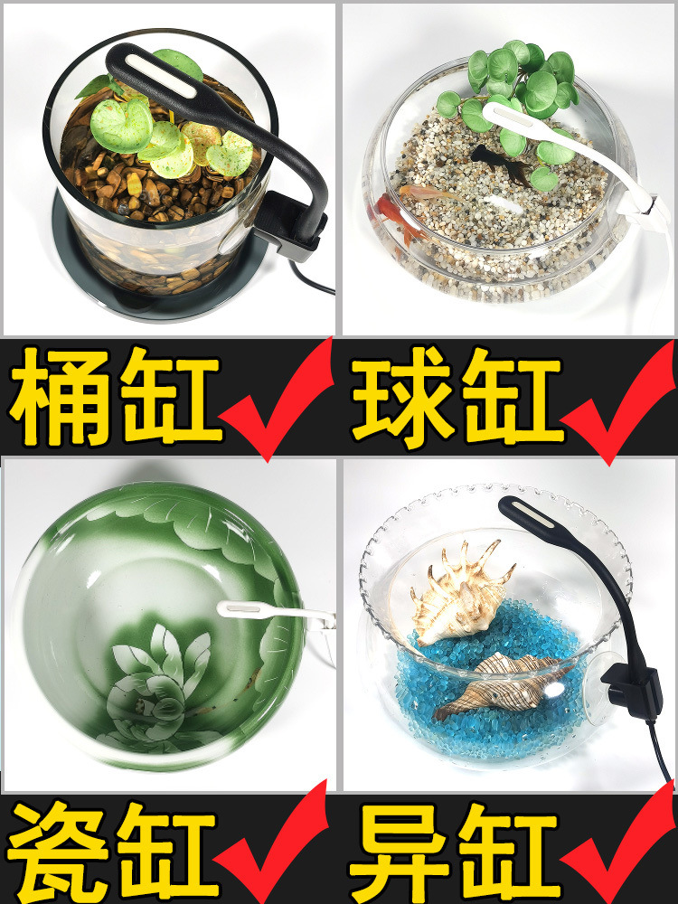 c3bf8080-cc88-43ae-9fb3-872427fbe129.jpe