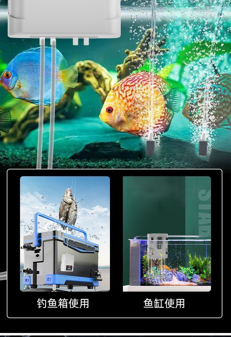 1986f36f-81d3-4a94-b963-929c4875a704.jpe