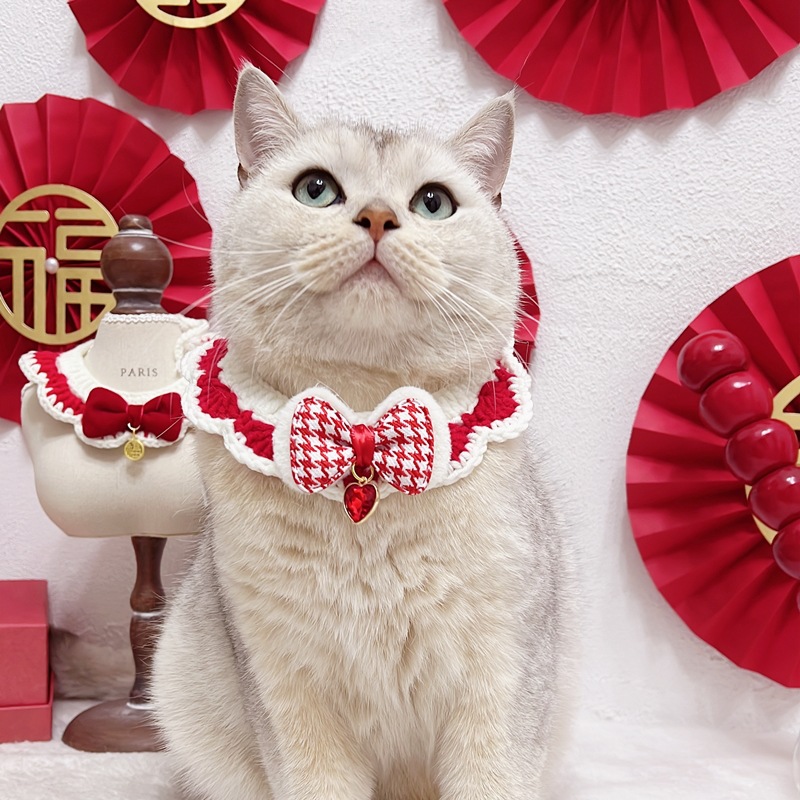 IMG_7697(20231103-232910)_副本