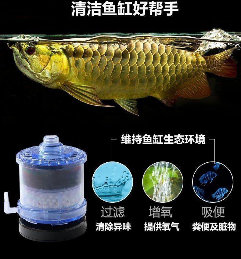 989c4dde-e399-41cb-afd2-9d6add26040a.jpe