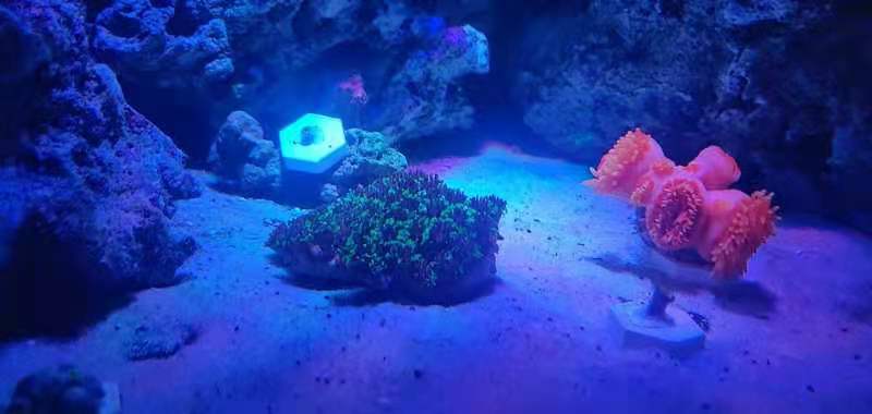 微信图片_20210826225528