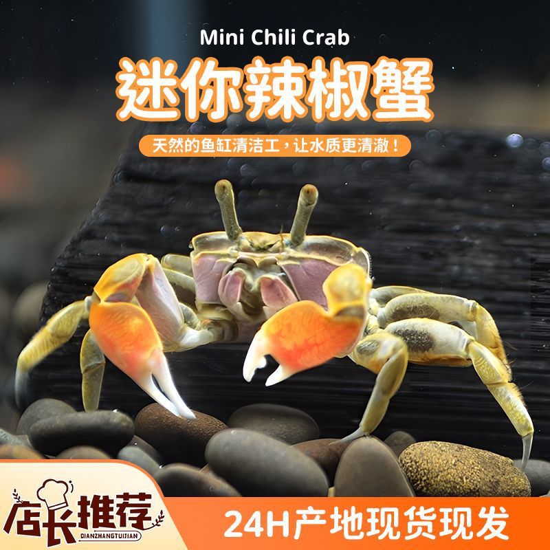 8b5788c5-c0b2-4e3c-a8ad-beb457dec76d.jpe