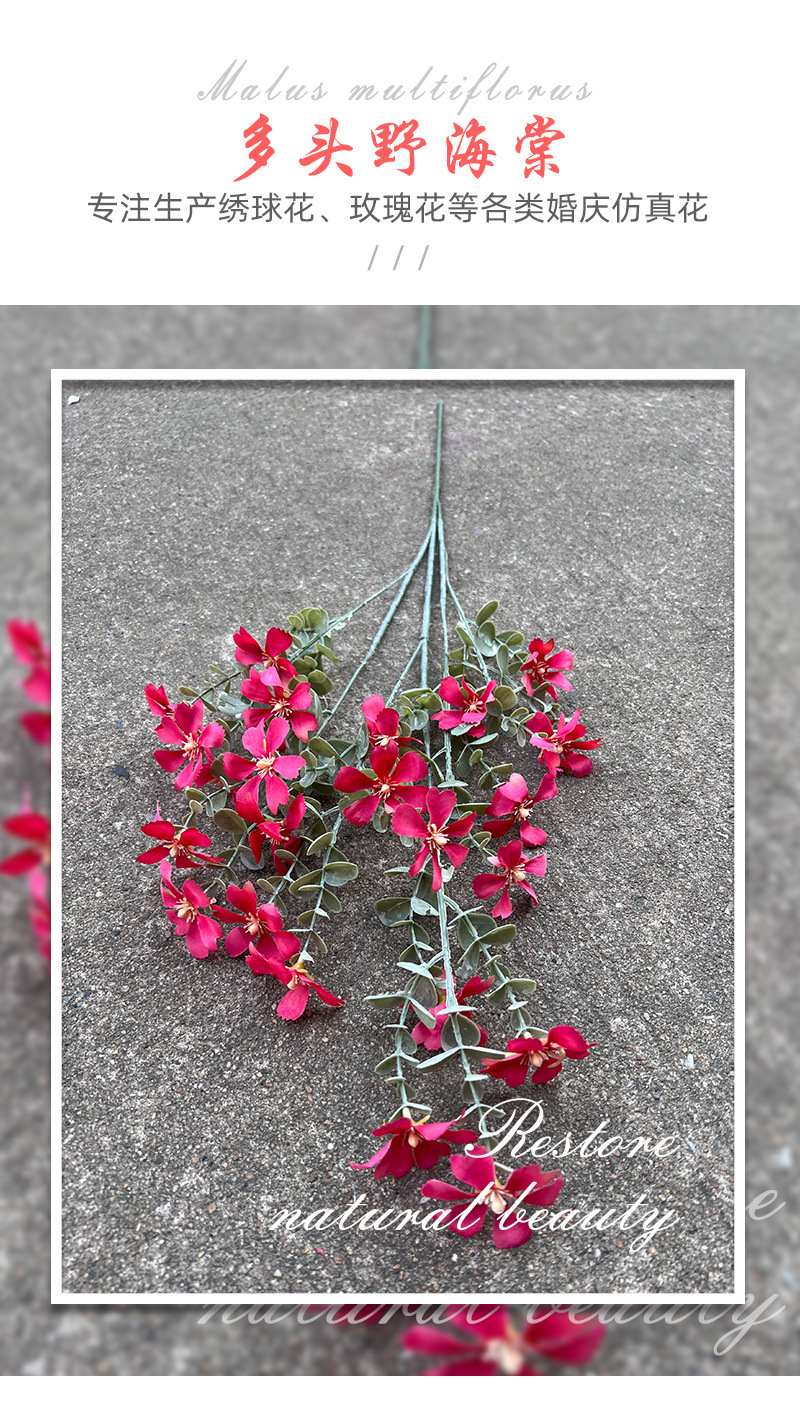 聚美-多头野海棠-详情_01.jpg