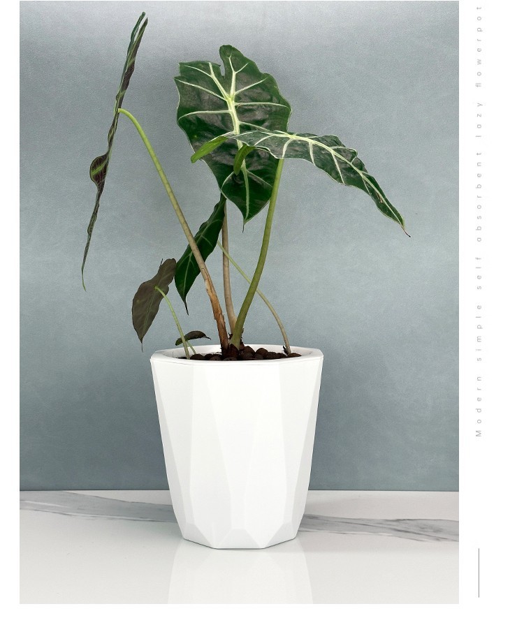 57a91a4b-bbbf-45a2-9a52-b2d04ef50a8e.jpe