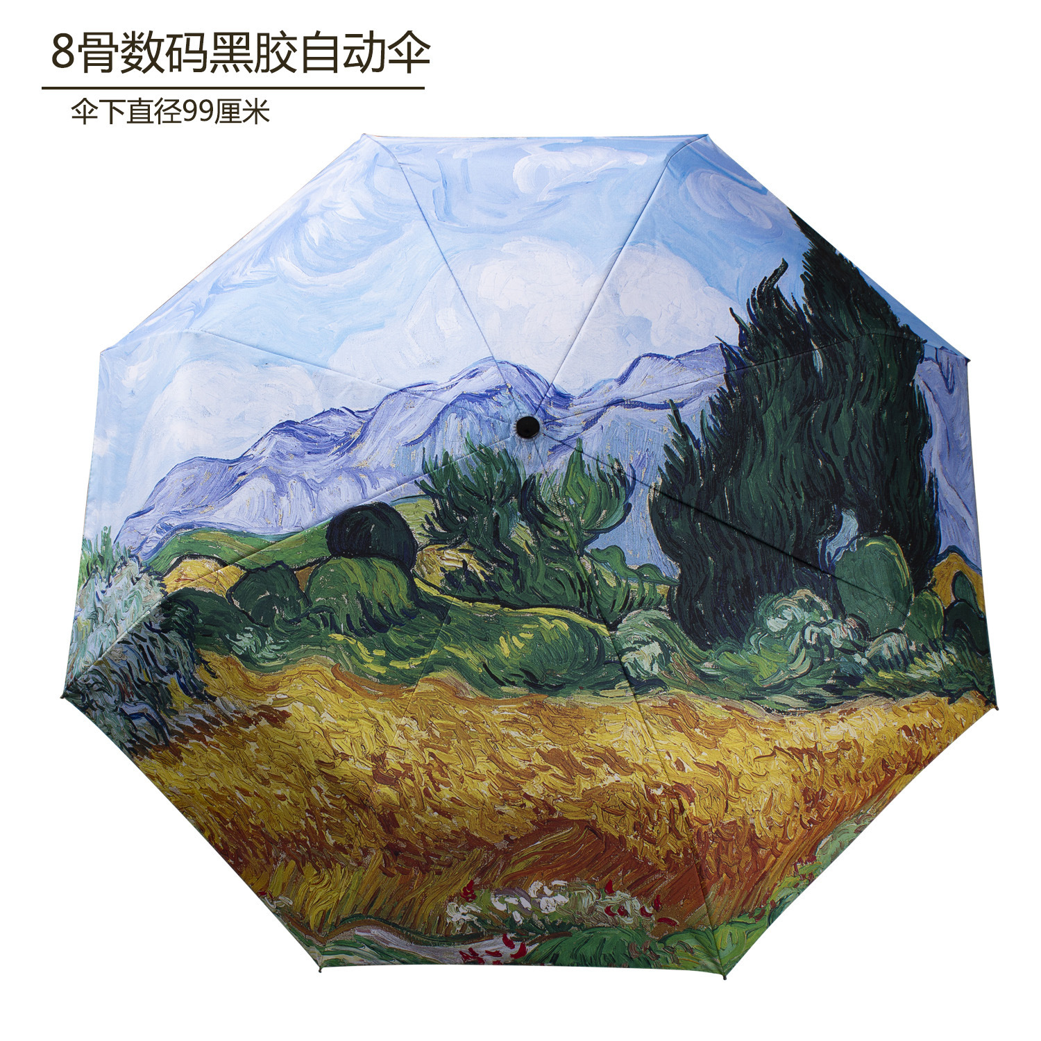 松柏自动款 2021 主图 2 新的