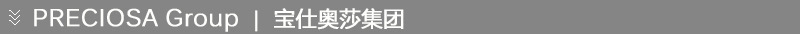 宝仕奥莎集团