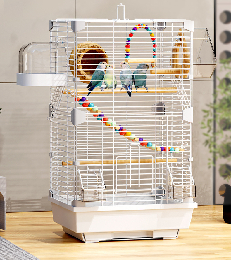 3172c958-422e-4d21-8e1c-5d4545b5c4ad.jpe