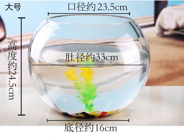 e39a9186-5445-4456-9dbf-ee7598b288da.jpe