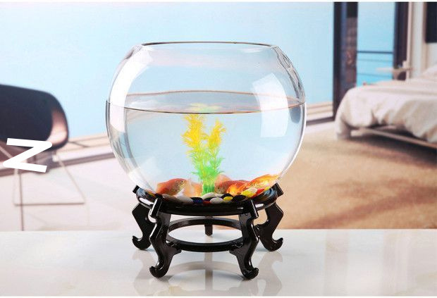 f2d0d7fe-8ca6-4a7d-9190-d163c79761e9.jpe