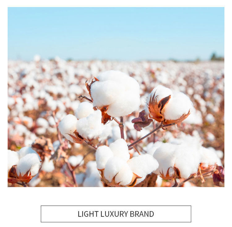 112a0988-e1d6-4fd8-9aa7-eaf0e66cfa2b.jpe