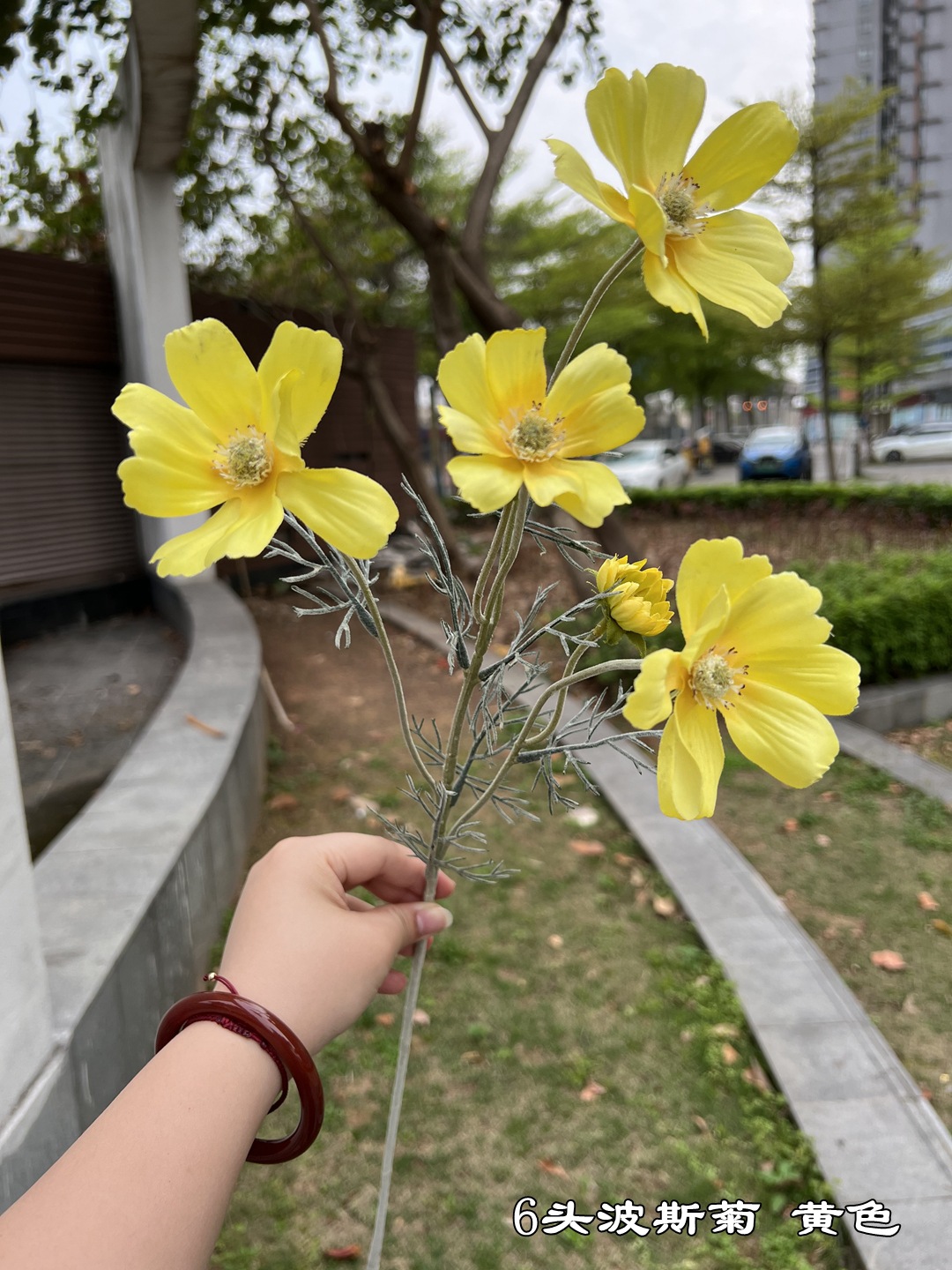 微信图片_20220618155009