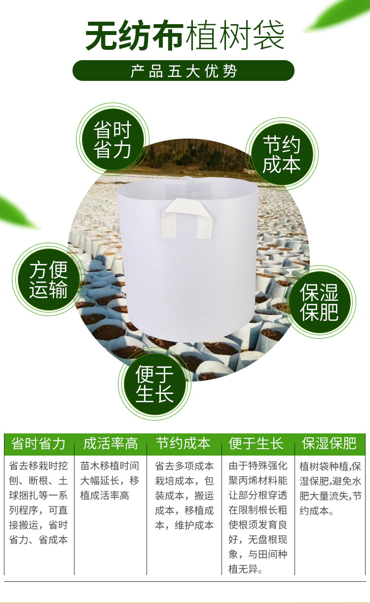 O1CN01FO9ak01JBv5pEVPau_!!9194