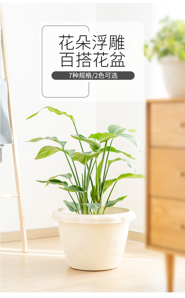 fl中钵_02.jpg