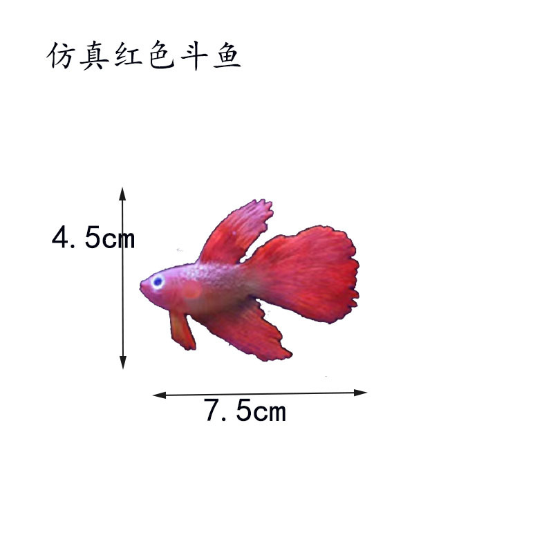 红色斗鱼尺寸.jpg
