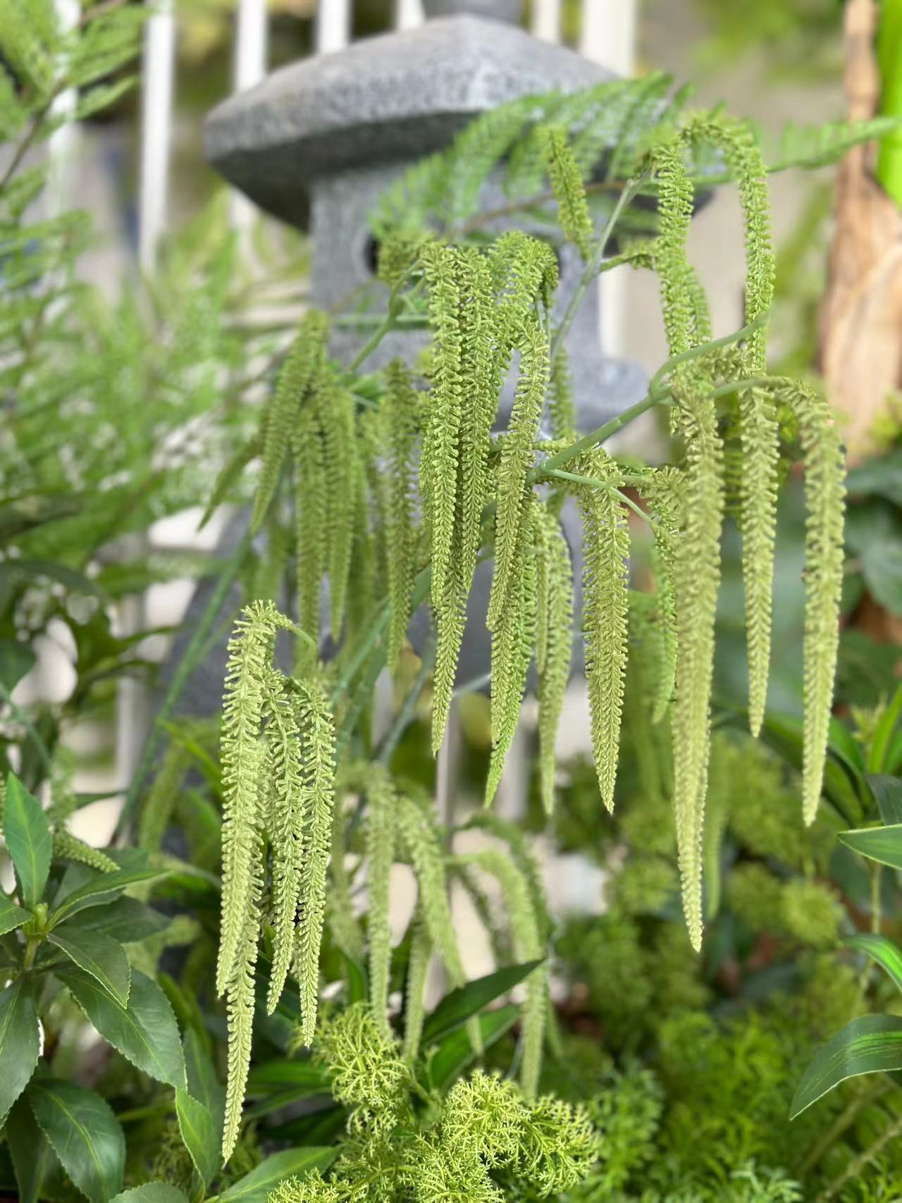 微信图片_20240811190255