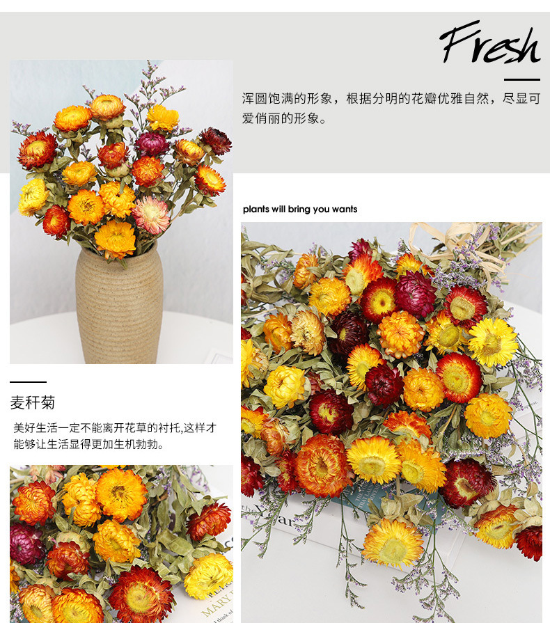 5bf40758-809d-4a4d-a344-1e7053668aff.jpe